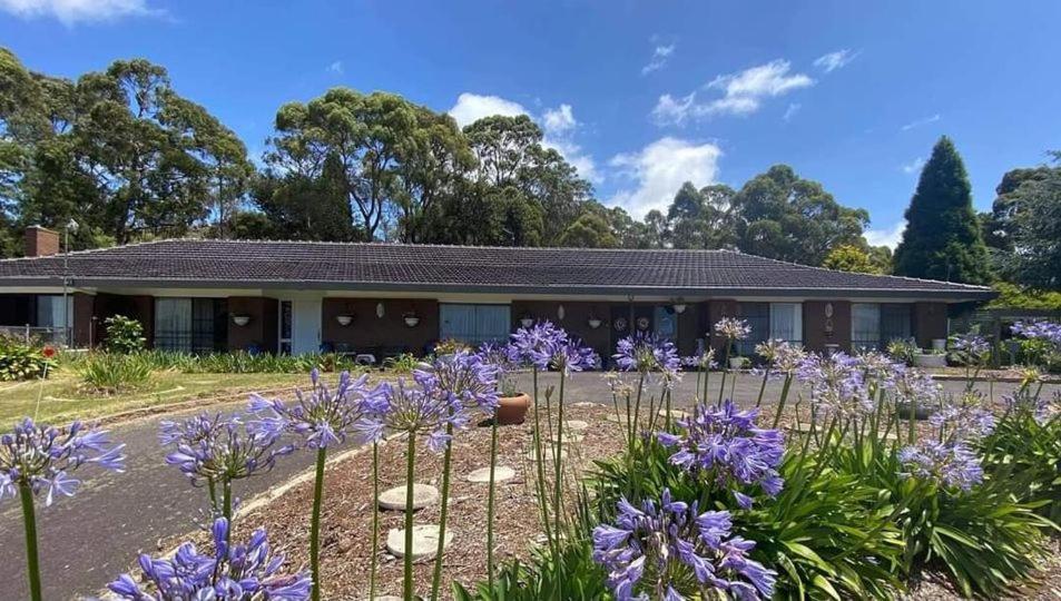 Heavenly Farm B & B Tasmania ボート・ハーバー エクステリア 写真